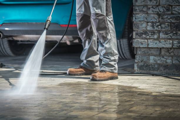 Best Pre-Holiday Cleaning  in Savannah, TX