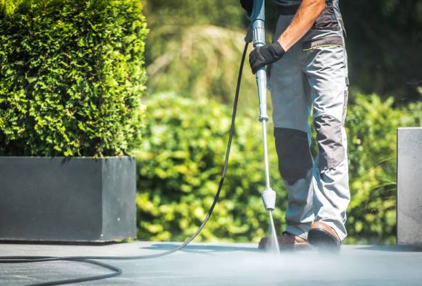 Best Solar Panel Cleaning  in Savannah, TX