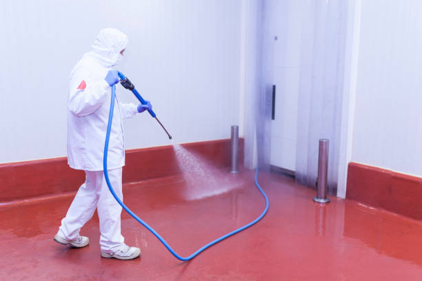 Best Graffiti Removal  in Savannah, TX